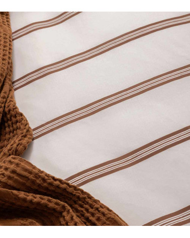Taie d'Oreiller Percale ESQUISSE ANTIQUE – Rayures élégantes
